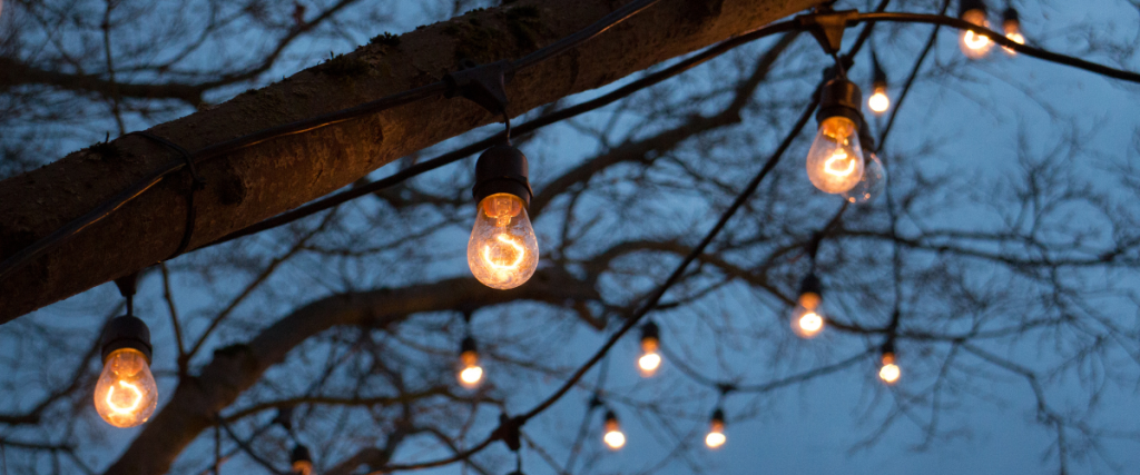 best outdoor solar lights for trees
